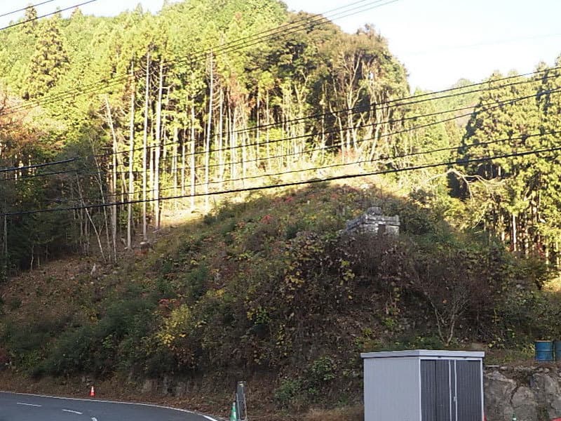 img20250520174703212428.jpg